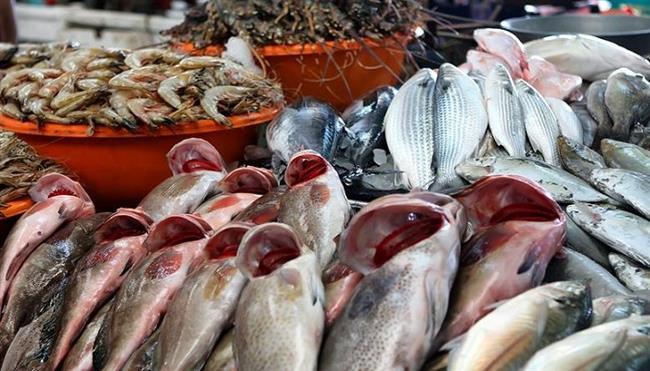 أسعار الأسماك اليوم الخميس 3-7-2024 في سوق العبور.. قشر البياض بـ 190 جنيهاً 