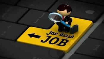 "النقل" تفتح التقديم في عدد من الوظائف بنظام التعاقد.. اعرف التفاصيل 