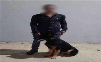 القبض على شخص لاصطحابه كلب وممارسة أعمال البلطجة في الإسماعيلية