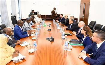 وزير الخارجية يؤكد دعم مصر الكامل لجهود نيجيريا في مكافحة الإرهاب بمفهومه الشامل