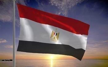 أستاذ علوم سياسية: مصر تحولت لخلية نحل لا تهدأ من أجل وقف إطلاق النار بغزة   