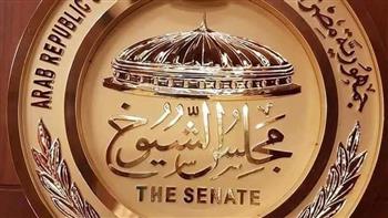 سفارات وقنصليات مصر بالخارج تواصل استعدادتها لاستقبال أبناء الوطن خلال انتخابات الشيوخ