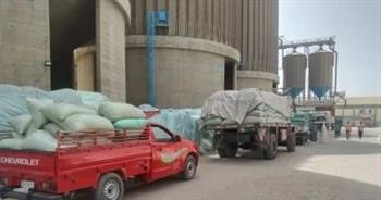 محافظة أسوان: توريد 553 ألف طن قمح بزيادة 82% عن نفس الفترة من العام الماضي