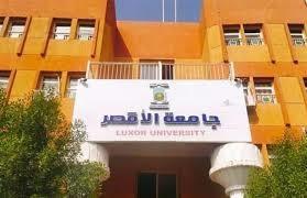 جامعات الأقصر وقناة السويس والجلالة تطلق برامج لتدريب الرائدات الريفيات ودعم التحول الرقمي
