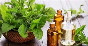 النعناع لعلاج نزلات البرد لدى الأطفال