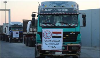 4000 طن مساعدات عبر قافلة "زاد العِزّة".. استمرار تدفق المساعدات المصرية إلى غزة