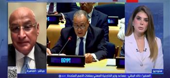 مساعد وزير الخارجية: مصر تصدّت منفردة لمحاولات تهجير الفلسطينيين