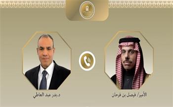 وزير الخارجية ونظيره السعودي يبحثان هاتفيًا الخطوات المقبلة لتنفيذ الخطة "العربية-الإسلامية" للتعافي المبكر 