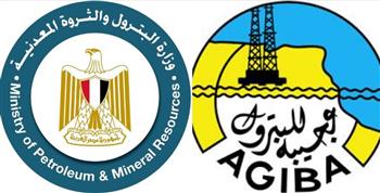 كشف جديد في حقول عجيبة للبترول بالصحراء الغربية بإنتاج 2500 برميل يوميًا