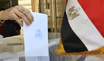 قبل انتخابات مجلس الشيوخ 2025.. تعرف على إتيكيت التصويت والمشاركة الإيجابية بمظهر حضاري