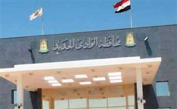 "إقليمي السكان" بالوادي الجديد يعتمد خطة التنمية البشرية