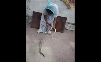 ثمانينية هندية تواجه ثعبانًا بهدوء مذهل (فيديو)