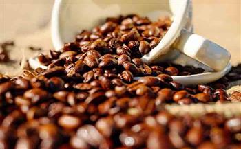 أوغندا تتفوق على إثيوبيا كأكبر مُصدّر للبن في إفريقيا