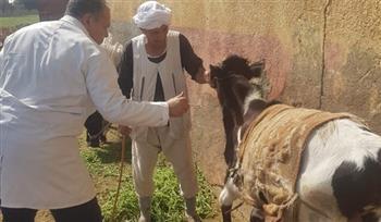 "الزراعة" تطلق 214 قافلة بيطرية مجانية في 176 قرية خلال يونيو الماضي