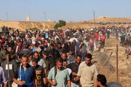 ارتفاع عدد ضحايا قصف الاحتلال مراكز توزيع المساعدات إلى 743 شهيدًا 