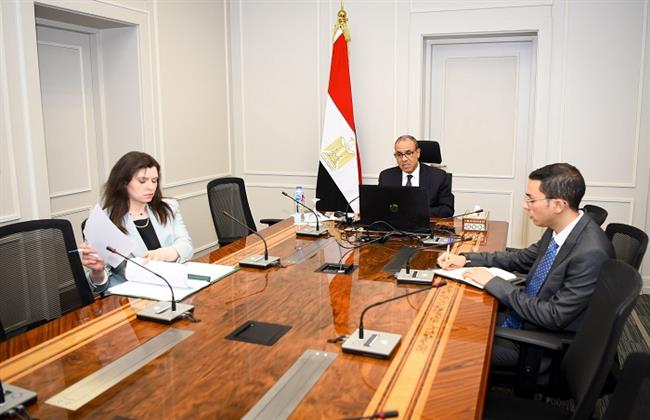 وزير الخارجية والهجرة يشارك في اللقاء الافتراضي مع الجالية المصرية في واشنطن ونيويورك