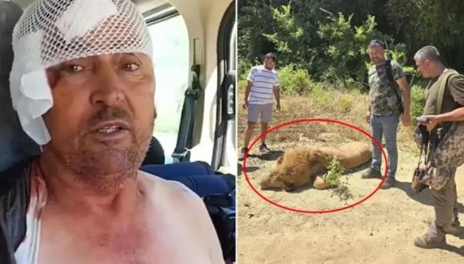 فلاح يستيقظ من نومه ليجد أسدًا فوق رأسه.. رعب لا يُوصف
