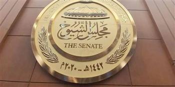 بدء تصويت المصريين في لبنان بانتخابات مجلس الشيوخ