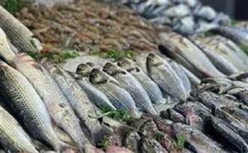 سعر الأسماك اليوم السبت 2 أغسطس بسوق العبور