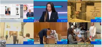 سفير مصر في باريس يؤكد سهولة إجراءات التصويت في انتخابات «الشيوخ»