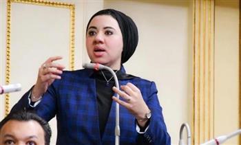 "من النواب إلى الشيوخ.. أميرة صابر تكشف تفاصيل المحطة الثانية في رحلتها البرلمانية