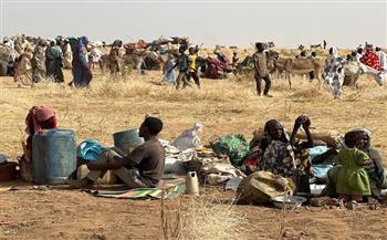 الناس يأكلون علف الحيوانات.. دعوات سودانية لفك حصار الفاشر