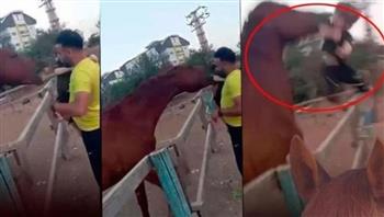 عضّه وقذفه في الهواء.. حصان يعتدي على طفل حاول مداعبته