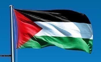 دعمًا لفلسطين ورفضًا لجرائم الاحتلال.. اليونان تنتفض في وجه إسرائيل