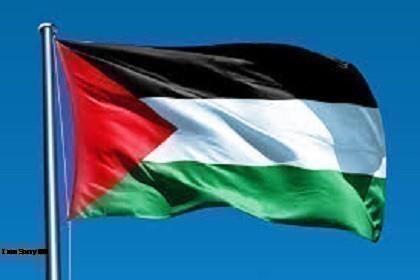 دعمًا لفلسطين ورفضًا لجرائم الاحتلال.. اليونان تنتفض في وجه إسرائيل