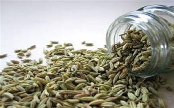 مضغ بذور الشمر أم شربها.. أيهما يمنحك فوائد صحية أكبر؟