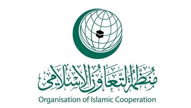 المجموعة العربية ومنظمة التعاون الإسلامي تدعوان لإنهاء الحرب في غزة وتسريع إعادة الإعمار
