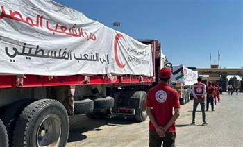الهلال الأحمر المصري يدفع بأكثر من 112 ألف سلة غذائية في قافلة "زاد العزة" الـ 14 إلى غزة