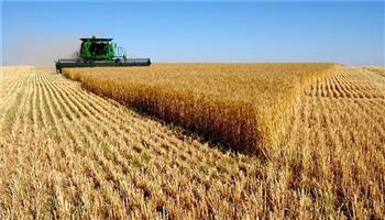 الإحصاء: زيادة 46.6% في الأراضي المستصلحة.. المليون ونصف فدان يتصدر المشروعات