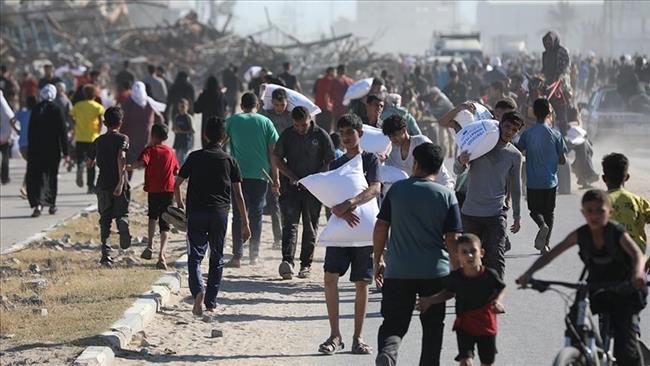الأمم المتحدة: قوات الاحتلال الإسرائيلي قتلت 46 عنصرا من تأمين المساعدات في غزة