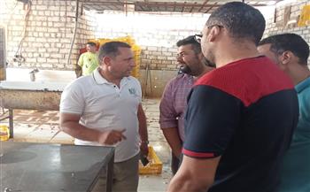 محافظة الجيزة تضبط 10 أطنان من هياكل الدواجن غير الصالحة للاستهلاك الآدمي بكرداسة