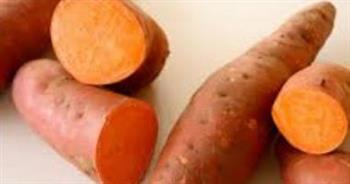 البطاطا الحلوة ..مصدر لهذه الفيتامينات