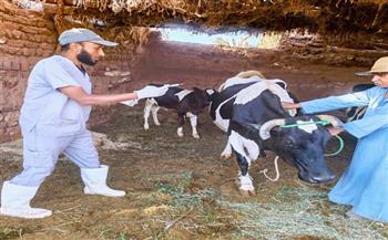 بدء حملات التحصين ضد "العترة الجديدة" من الحمى القلاعية بالوادي الجديد