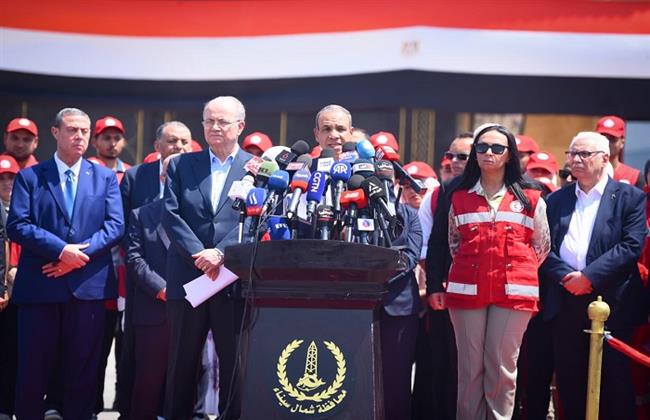 وزير الخارجية: مصر لم تتوقف عن العمل على جميع المسارات منذ بداية العدوان الإسرائيلي على غزة