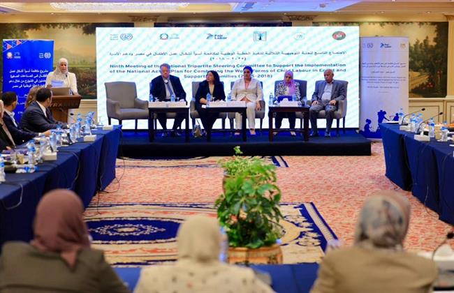 نائبة وزيرة التضامن تشارك في اجتماع لجنة تنفيذ خطة مكافحة أسوأ أشكال عمل الأطفال