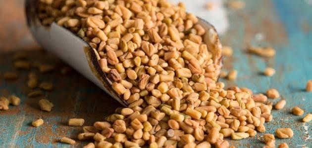 (الحلبة) .. صيدلية طبيعية تعرف على فوائدها