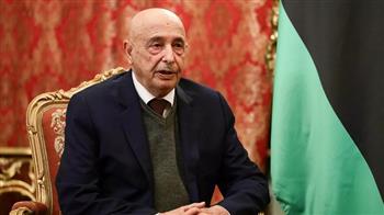 رئيس النواب الليبي يثمن دعوة مبعوثة الأمم المتحدة لتشكيل حكومة موحدة خلال شهرين