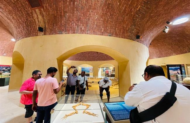 "وادي الحيتان" و"متحف الحفريات" ضمن جولات ملتقى الفيوم للرسوم المتحركة