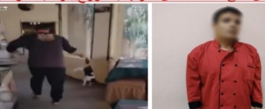 القبض على طباخ تعدى على قطة في مطروح