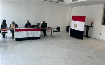 بدء تصويت المصريين في عدد من الدول العربية والآسيوية والإفريقية