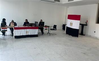 بدء تصويت المصريين في عدد من الدول العربية والآسيوية والإفريقية