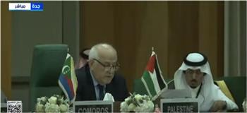 مندوب فلسطين: إسرائيل تسعى لفرض السيطرة العسكرية على غزة