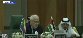 مندوب فلسطين: إسرائيل تسعى لفرض السيطرة العسكرية على غزة