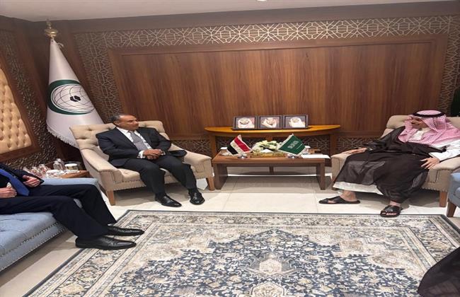 وزير الخارجية ونظيره السعودي يبحثان الوضع في الأراضي الفلسطينية المحتلة  