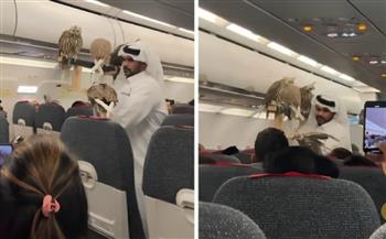 مشهد غير مألوف.. خليجي يصطحب صقوره على متن رحلة جوية (فيديو)