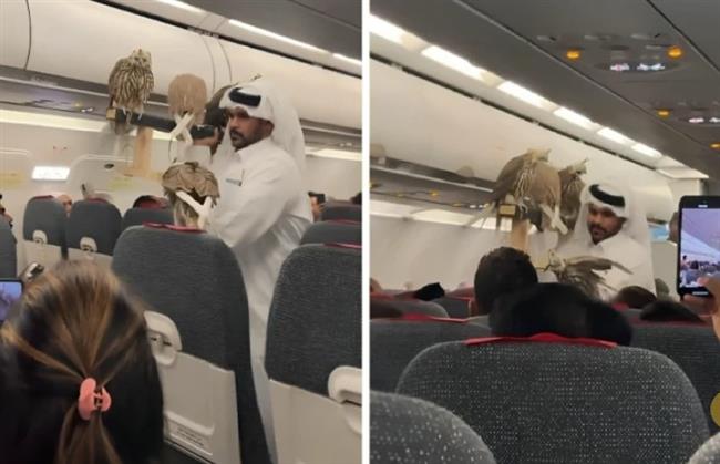 مشهد غير مألوف.. خليجي يصطحب صقوره على متن رحلة جوية (فيديو)